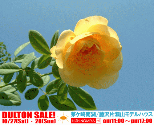 グラハム・トーマス